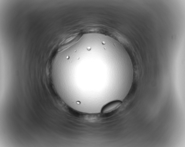 X0000086040373200704091155