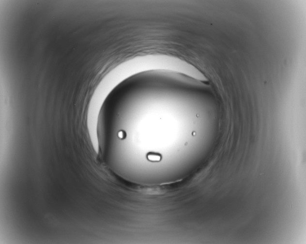 X0000086040384200704091155