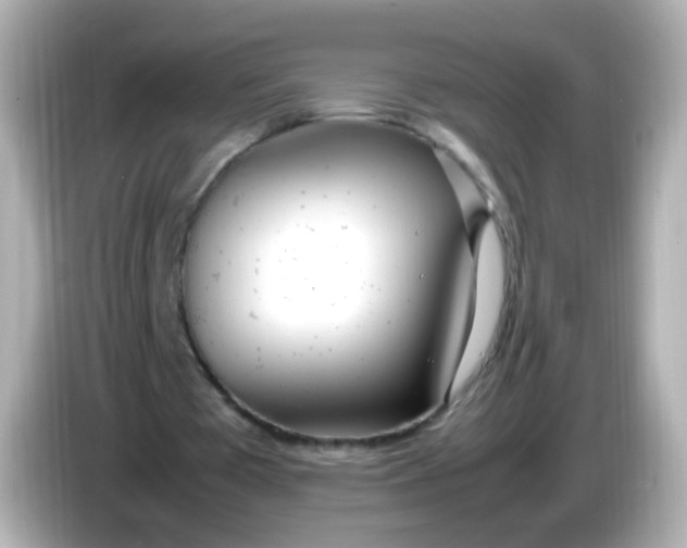 X0000086040385200704091154