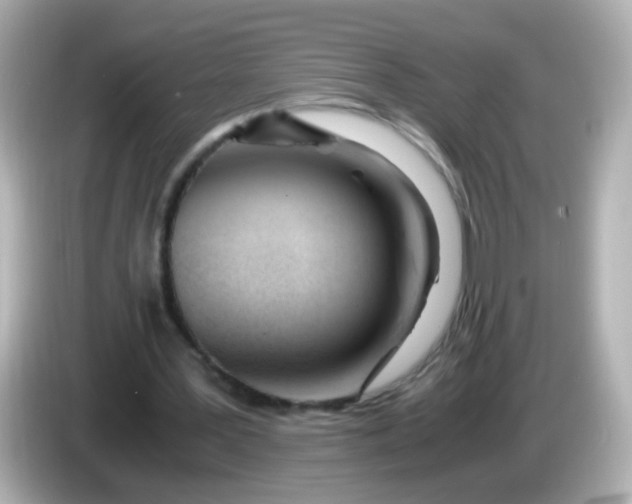 X0000086040387200704091154
