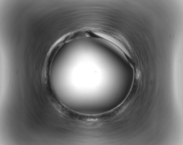 X0000086040388200704091154