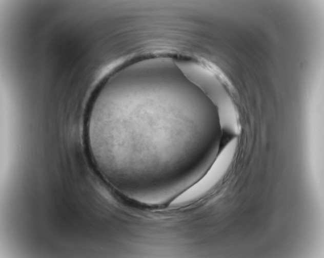 X0000086040391200704091154
