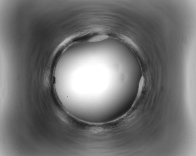 X0000086040392200704091154