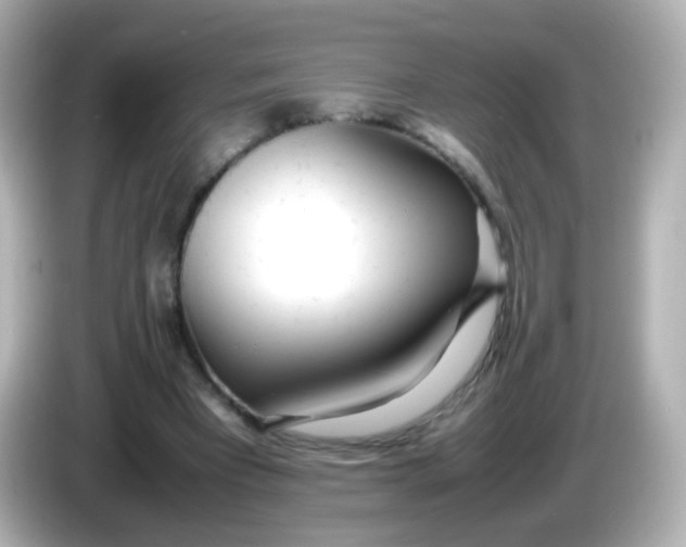 X0000086040393200704091154