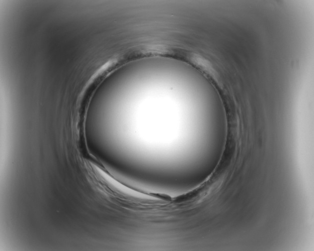 X0000086040395200704091154