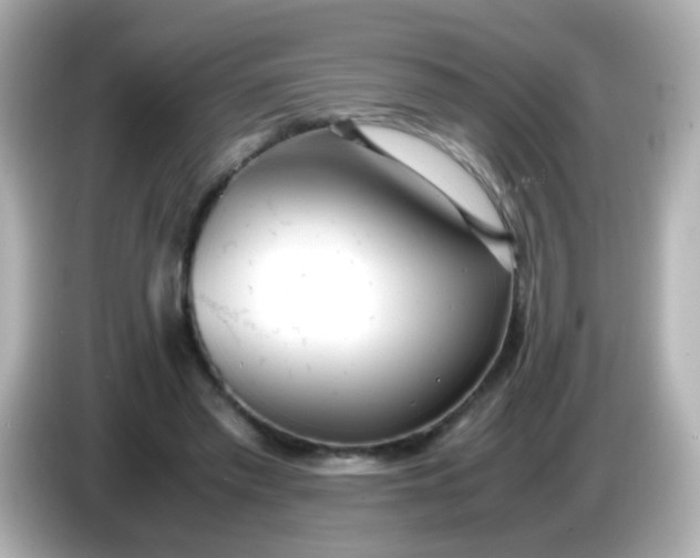 X0000086040397200704091154