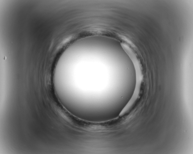 X0000086040399200704091154