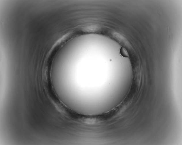X0000086040400200704091154