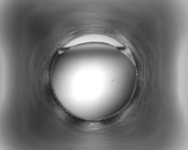 X0000086040401200704091154