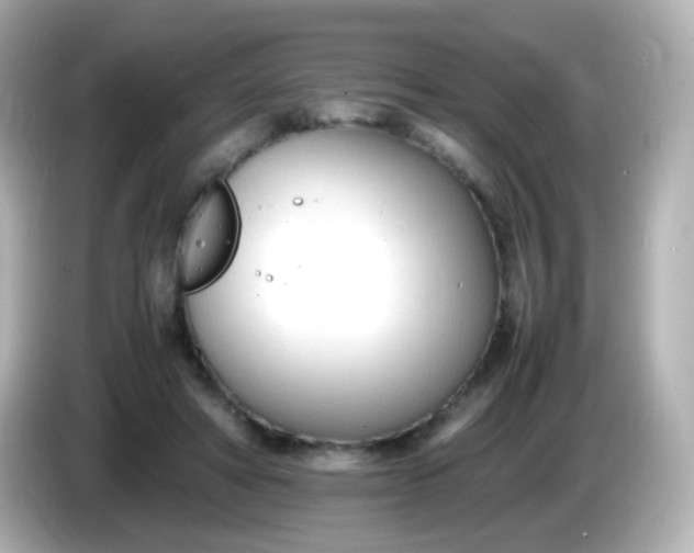X0000086040402200704091154