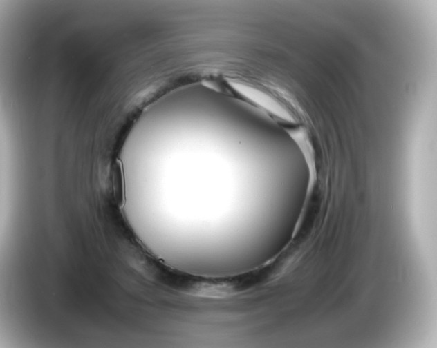 X0000086040403200704091154