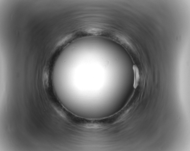 X0000086040404200704091154