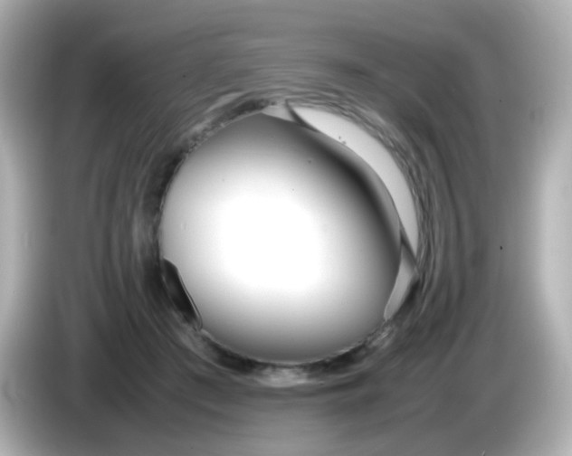 X0000086040409200704091154