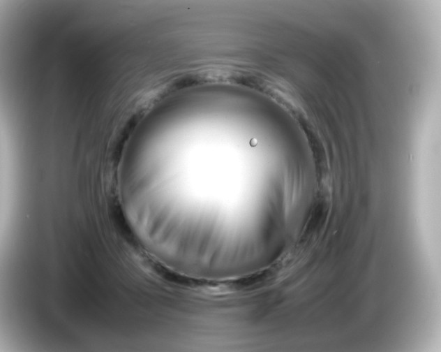 X0000086040411200704091154