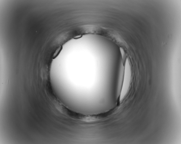 X0000086040413200704091154