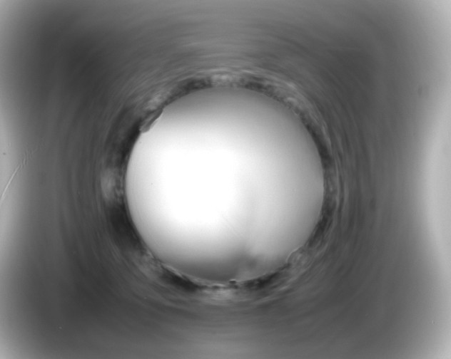 X0000086040419200704091154