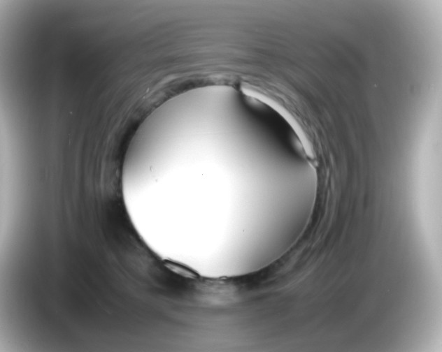 X0000086040421200704091154