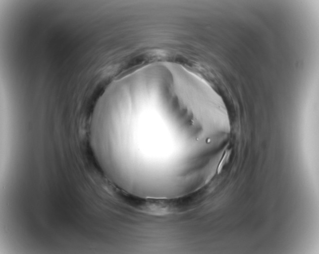 X0000086040423200704091154