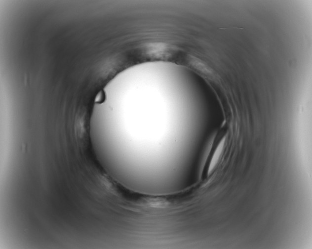 X0000086040424200704091154