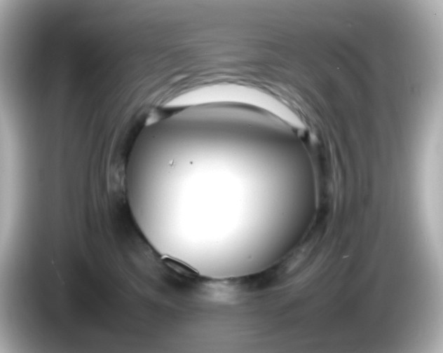 X0000086040425200704091154