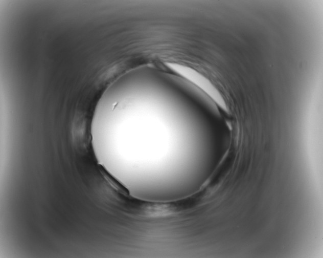 X0000086040428200704091154