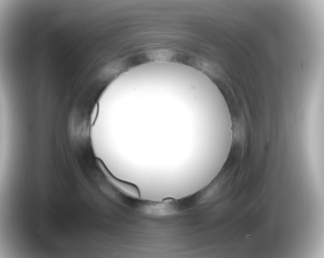 X0000086040431200704091154