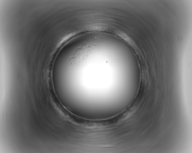 X0000086040434200704091153