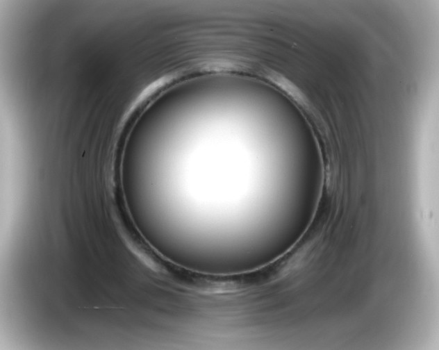 X0000086040438200704091153