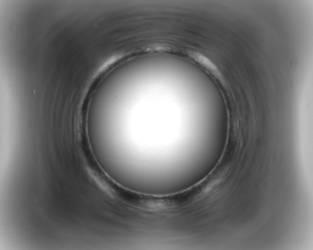 X0000086040439200704091153