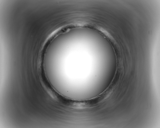 X0000086040440200704091153