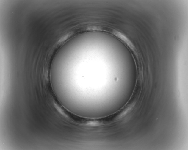 X0000086040441200704091153