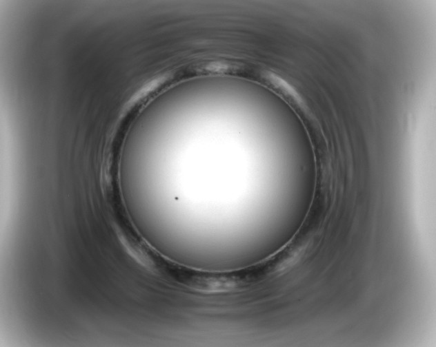 X0000086040443200704091153
