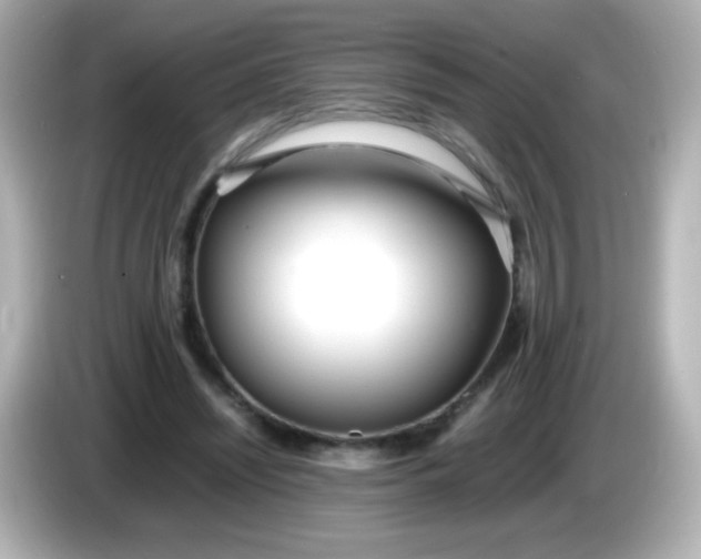 X0000086040444200704091153