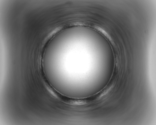 X0000086040445200704091153