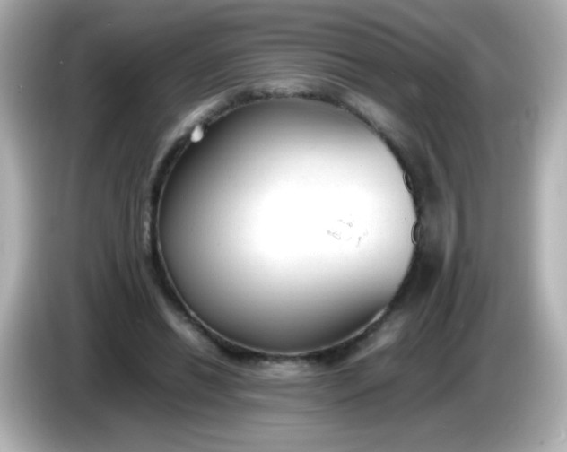 X0000086040446200704091153