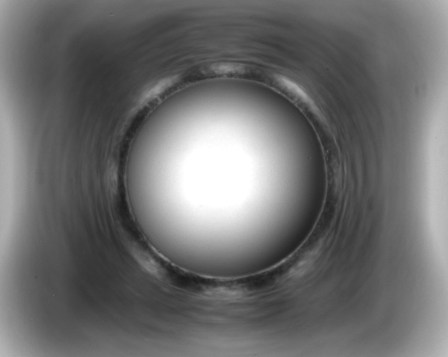 X0000086040447200704091153