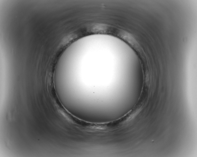 X0000086040449200704091153