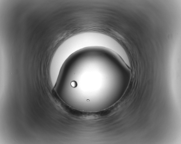 X0000086040452200704091153