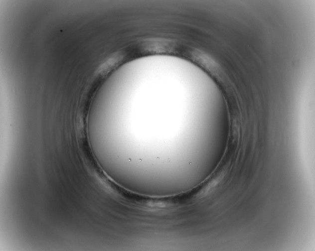 X0000086040453200704091153