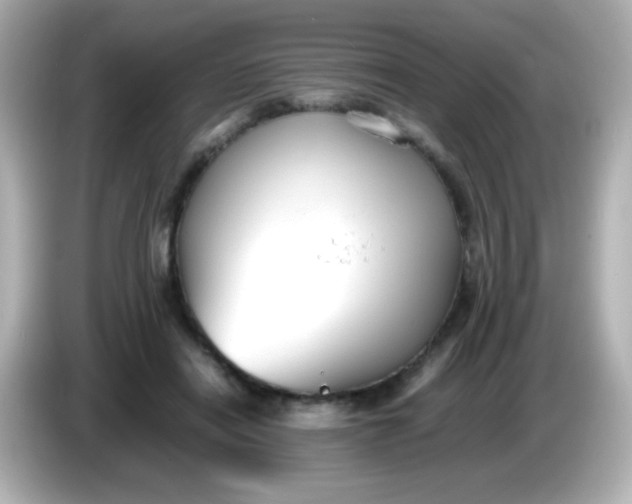 X0000086040454200704091153
