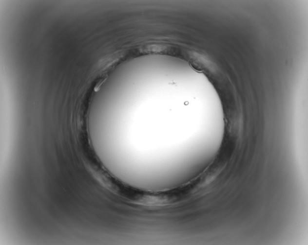X0000086040455200704091153