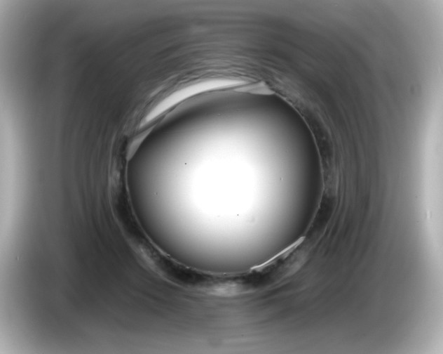 X0000086040456200704091153