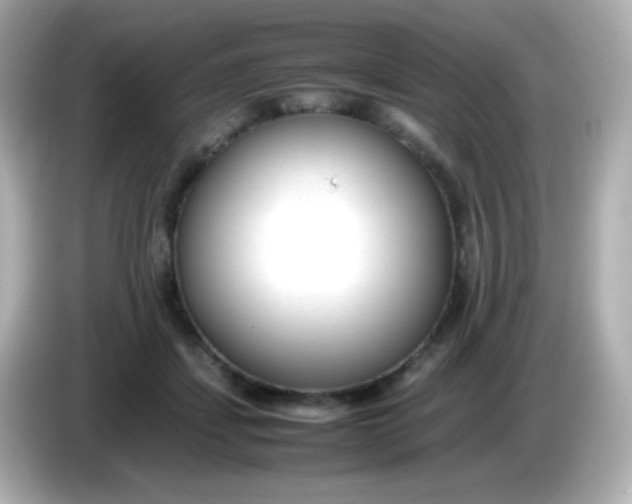 X0000086040459200704091153