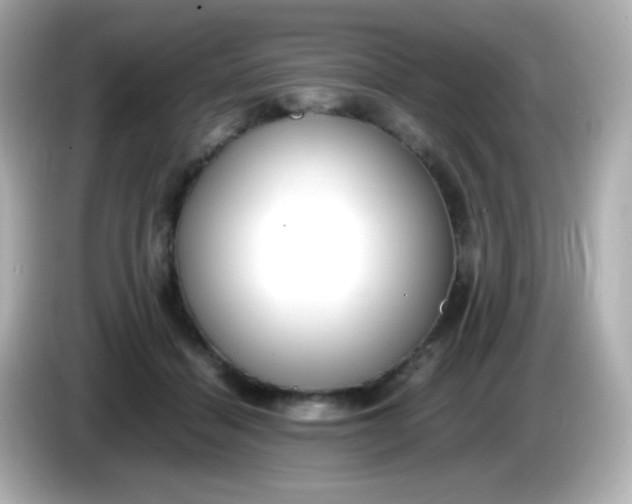 X0000086040460200704091154