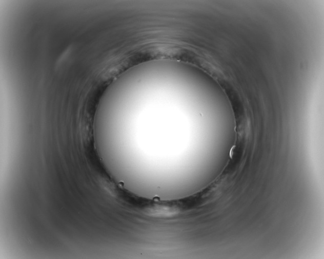 X0000086040464200704091154