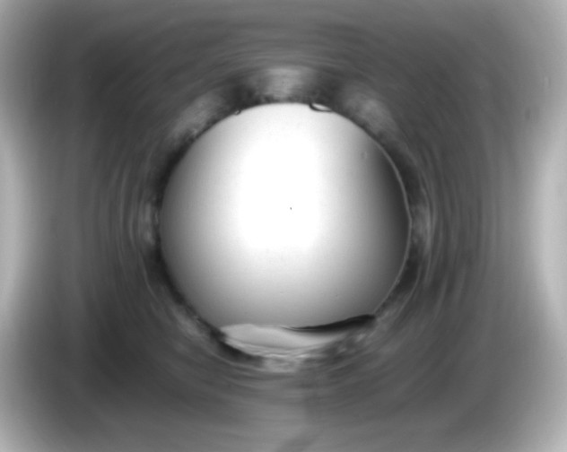 X0000086040470200704091154