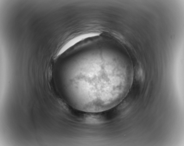 X0000086040471200704091154