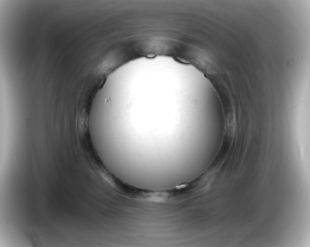 X0000086040474200704091154