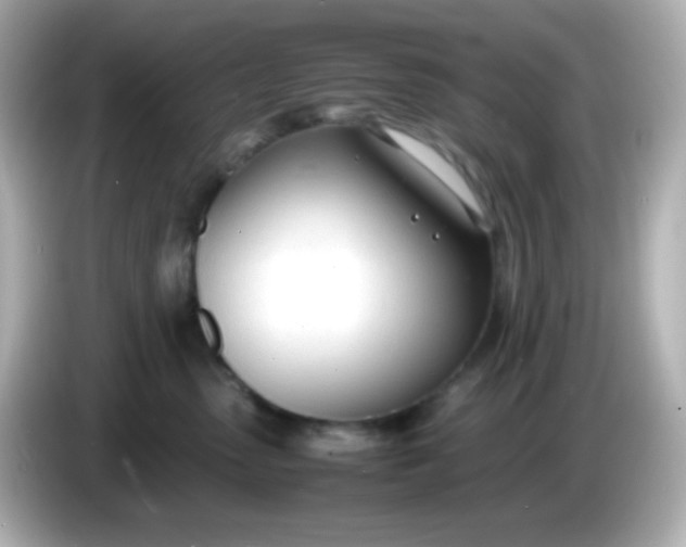 X0000086040475200704091154