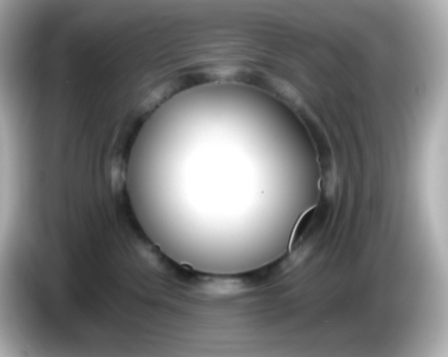 X0000086040476200704091154